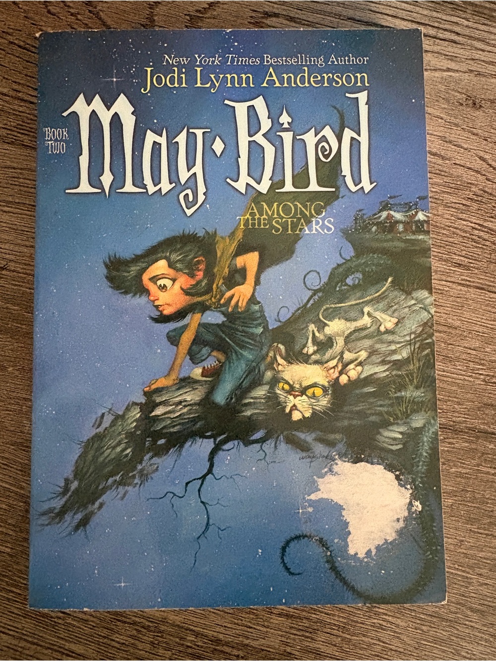 Scholastic May Bird Among the Stars — Blue Illustrated Cover
